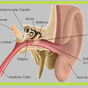 William Shatner Tinnitus - Alternative Tinnitus Treatment